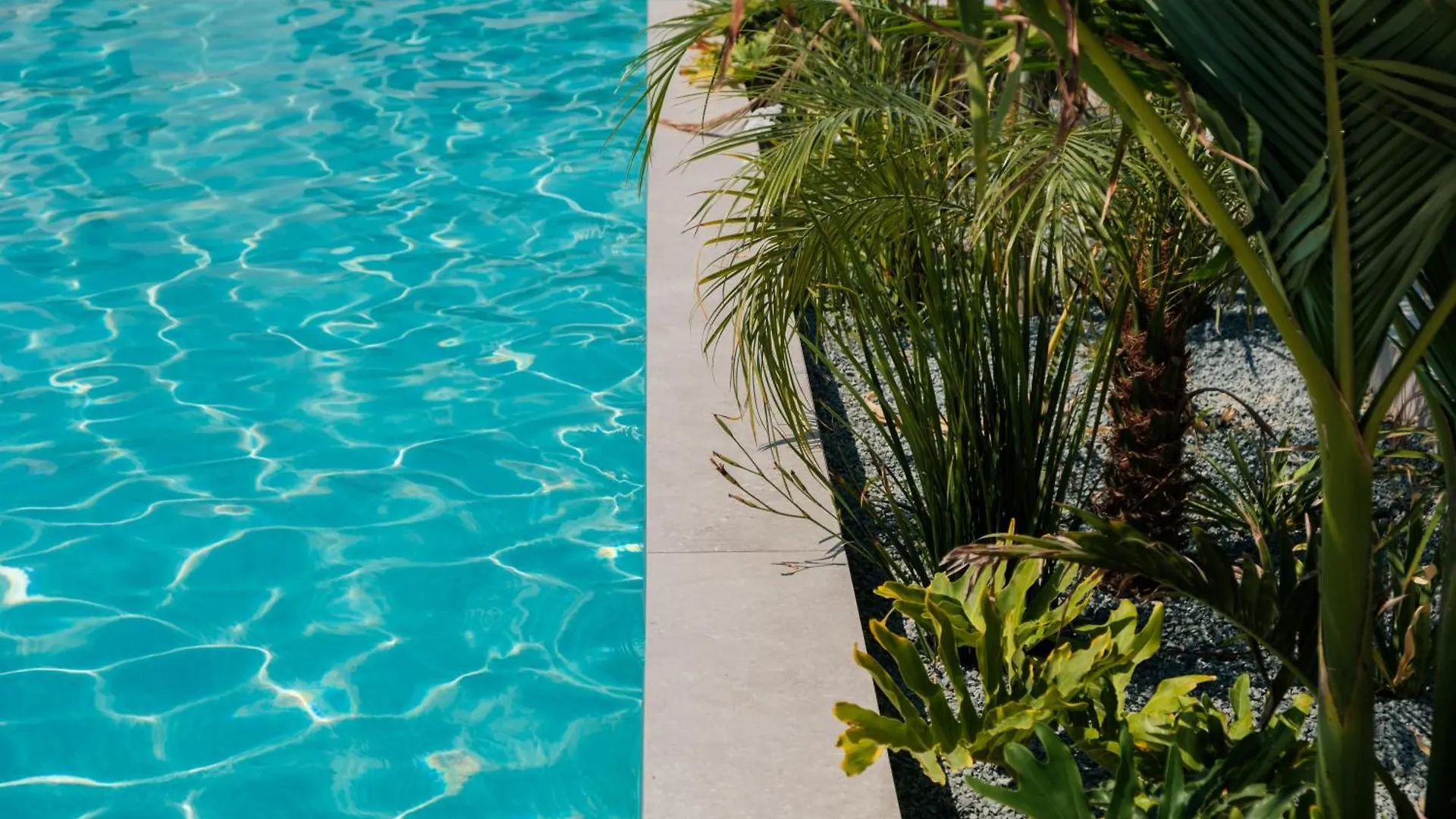 Abacus Suites Ayia Napa Bed & Breakfast